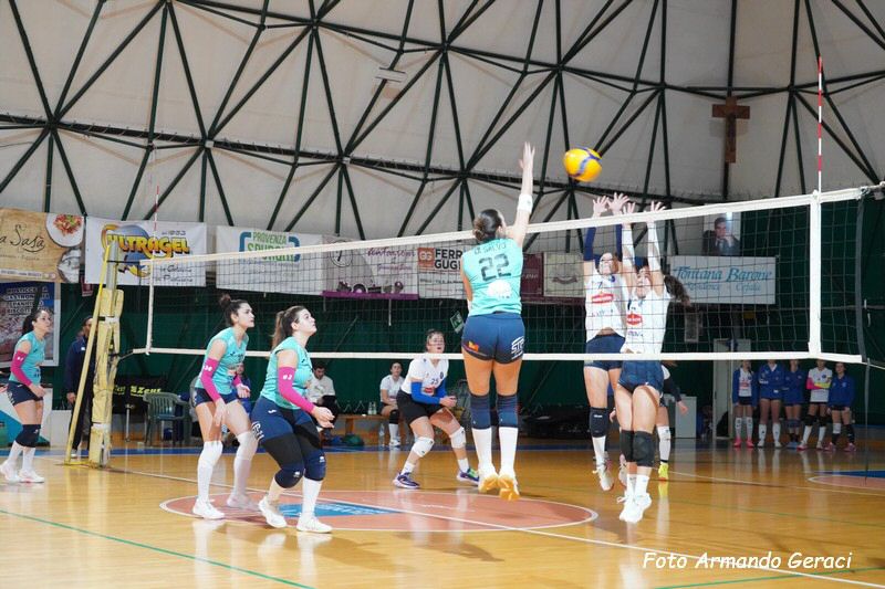 DSC08945_tn.jpg