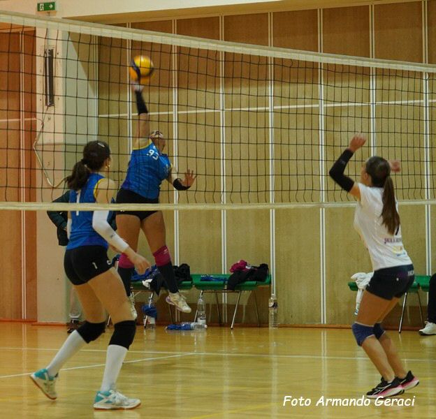 DSC00305y_tn.jpg