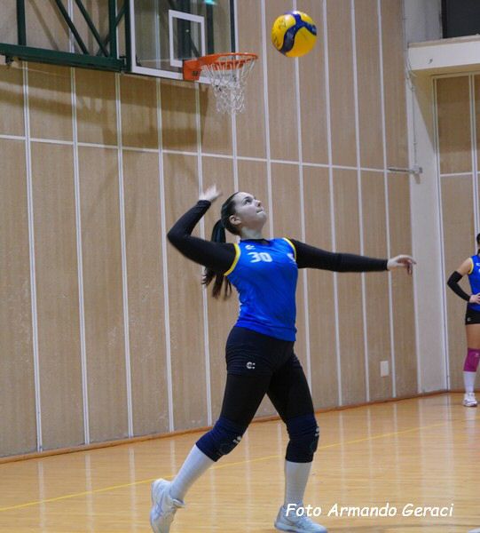 DSC00387y_tn.jpg