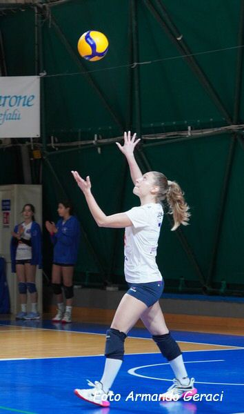 DSC07031Y_tn.jpg