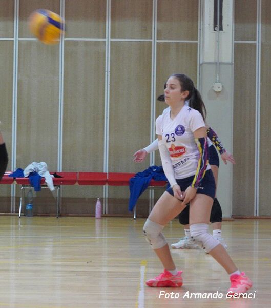 DSC07363y_tn.jpg