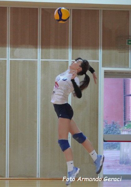DSC07381y_tn.jpg