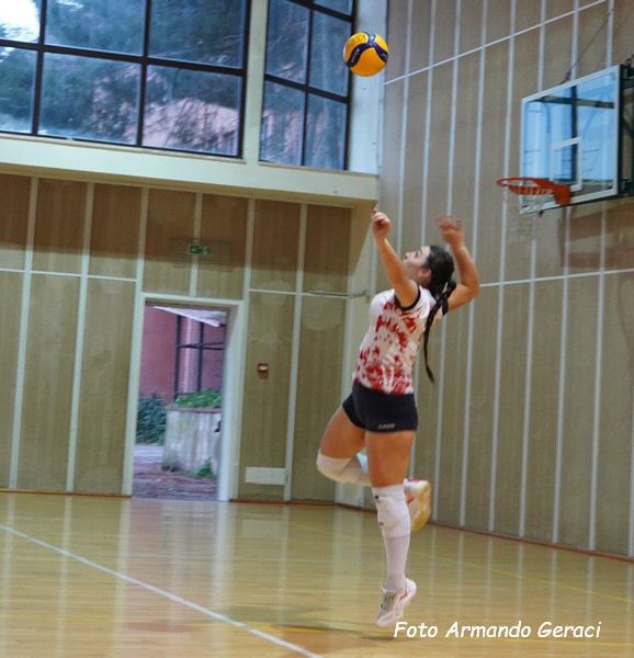 DSC07419y_tn.jpg