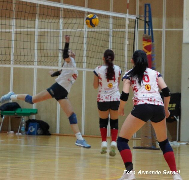 DSC07420y_tn.jpg