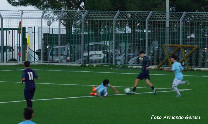 DSC04363y_tn.jpg