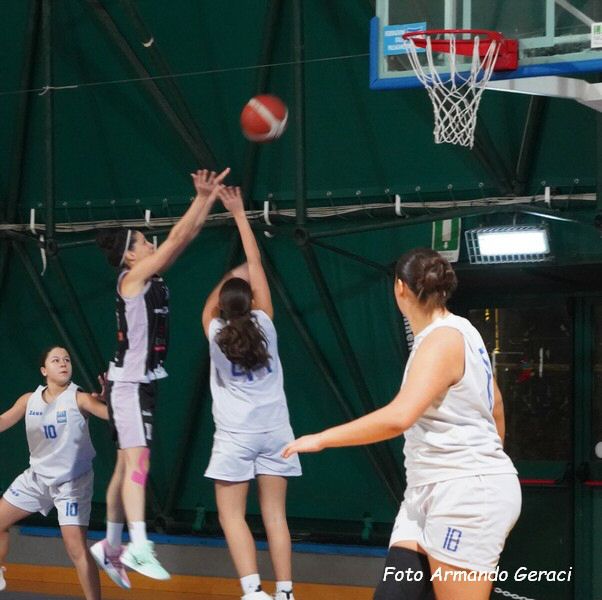 DSC04208y_tn.jpg