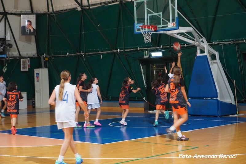 DSC05111_tn.jpg