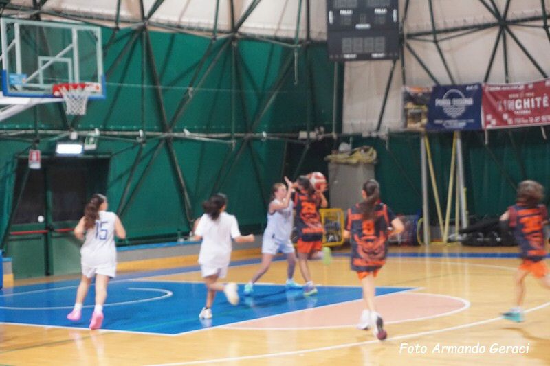 DSC05112_tn.jpg