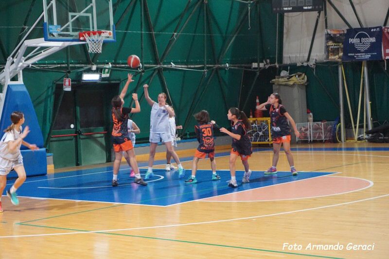 DSC05113_tn.jpg