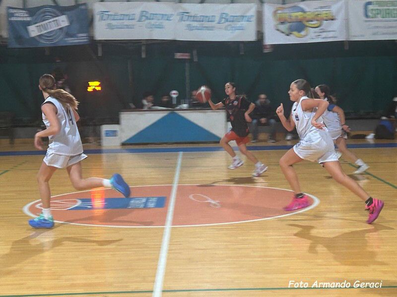 IMG_6240_tn.jpg