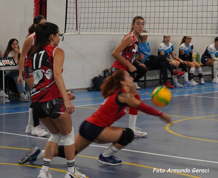 DSC00102y_tn.jpg