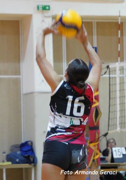 DSC00678y_tn.jpg