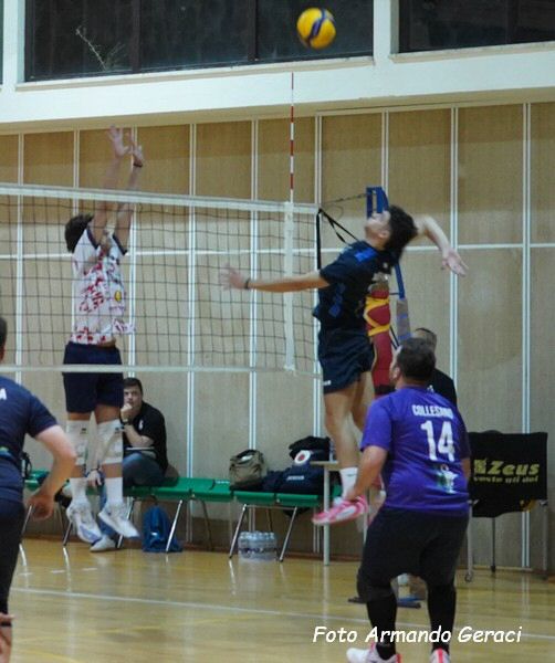 DSC00407y_tn.jpg