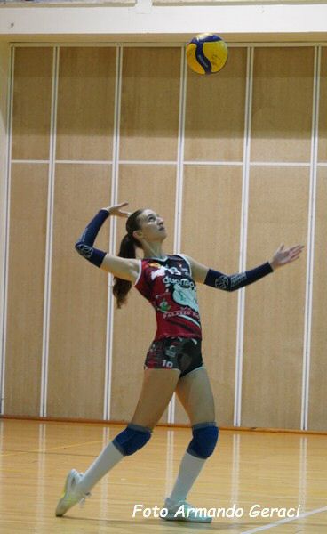 DSC00552y_tn.jpg