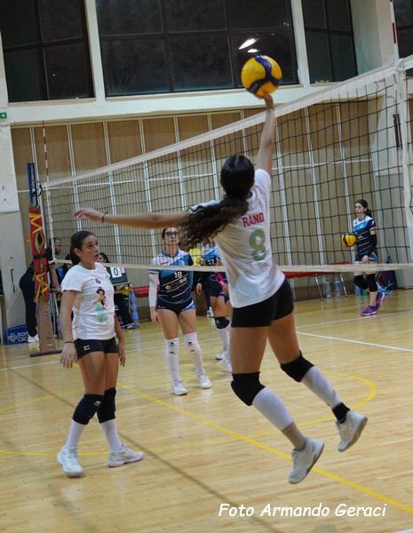 DSC00710y_tn.jpg