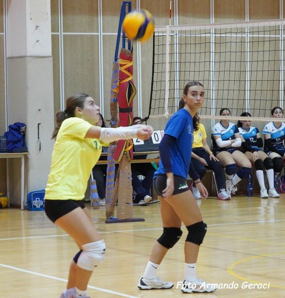 DSC00731y_tn.jpg